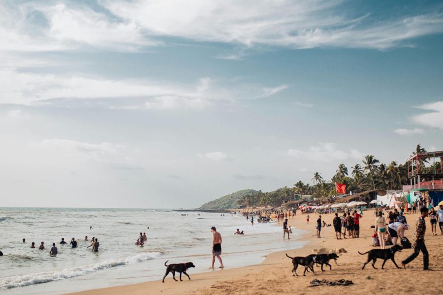 Best of Goa with Dudhsagar Falls