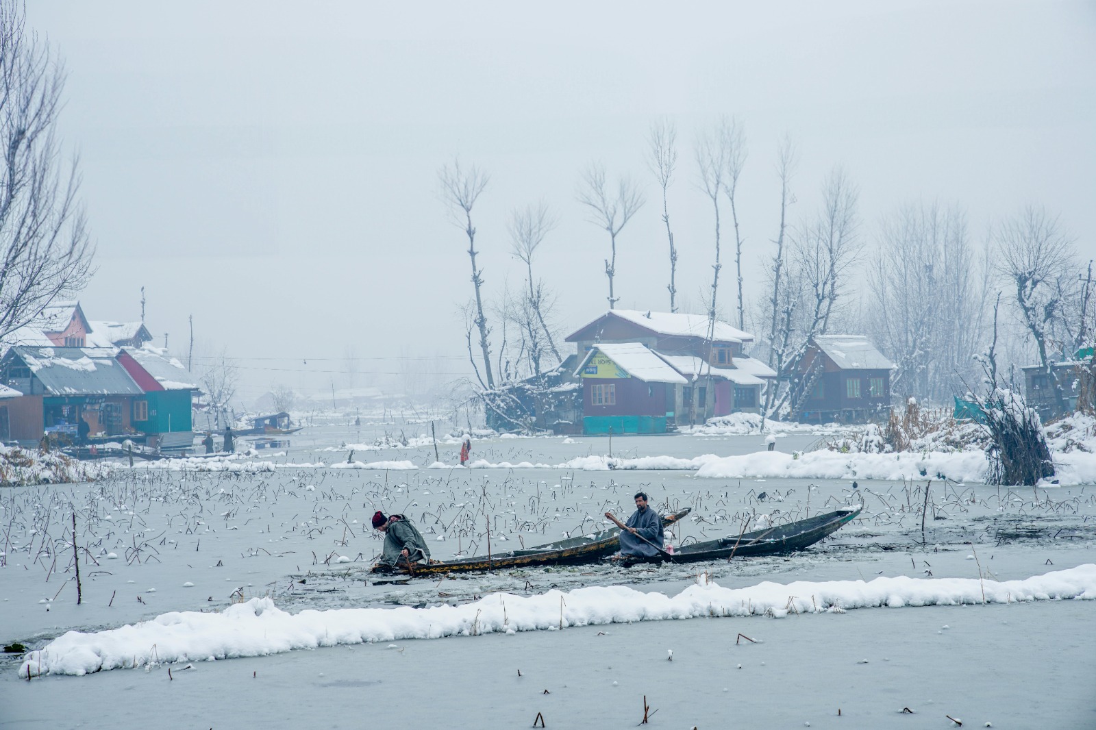 Why Kashmir is Breaking Travel Records in 2026