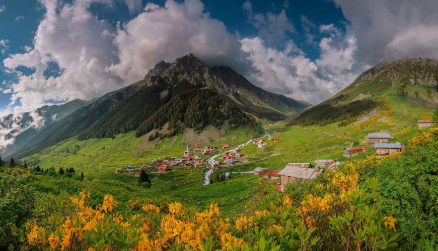 Valley of Flowers Travel Guide 2026 | Best Time to Visit, Trek Itinerary, Budget, Ticket, Weather & More