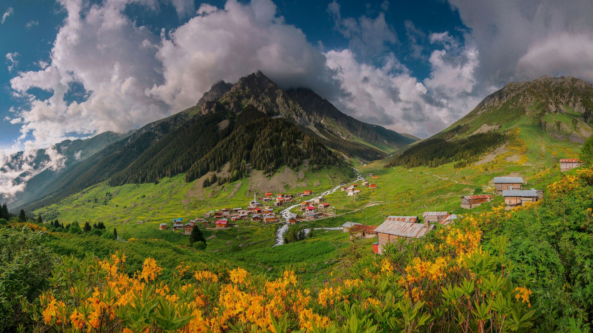 Valley of Flowers Travel Guide 2026 | Best Time to Visit, Trek Itinerary, Budget, Ticket, Weather & More